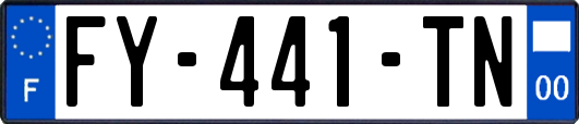 FY-441-TN
