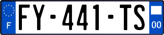 FY-441-TS