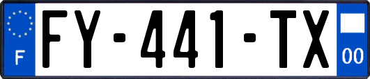 FY-441-TX