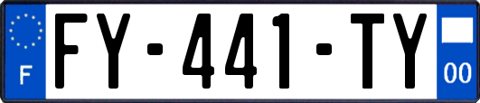 FY-441-TY