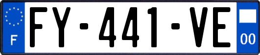 FY-441-VE
