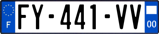 FY-441-VV