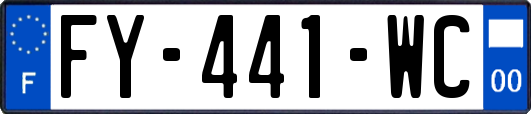 FY-441-WC