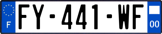 FY-441-WF