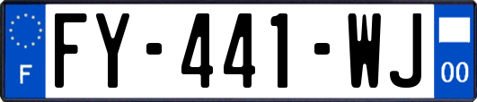 FY-441-WJ