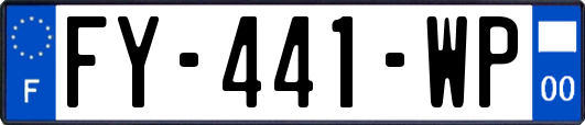 FY-441-WP