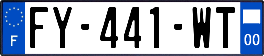 FY-441-WT