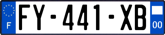 FY-441-XB