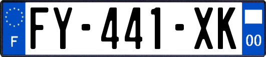 FY-441-XK