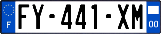 FY-441-XM