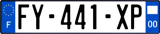 FY-441-XP
