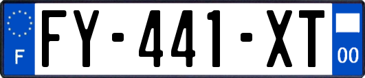 FY-441-XT