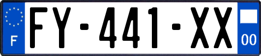 FY-441-XX