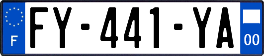 FY-441-YA