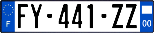 FY-441-ZZ