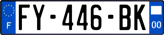 FY-446-BK