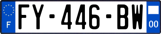 FY-446-BW