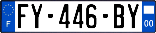 FY-446-BY