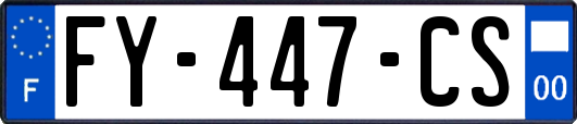 FY-447-CS