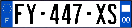 FY-447-XS