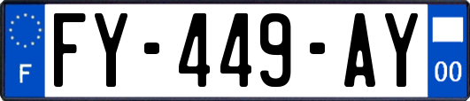 FY-449-AY