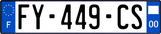 FY-449-CS