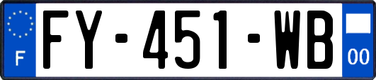 FY-451-WB