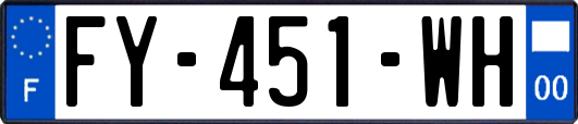FY-451-WH