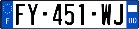 FY-451-WJ