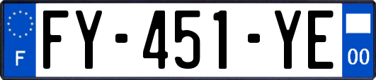 FY-451-YE