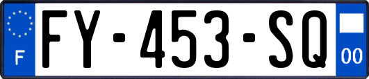 FY-453-SQ