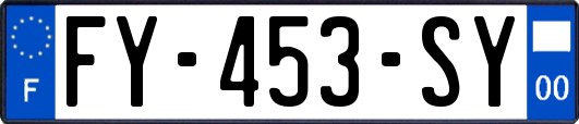 FY-453-SY