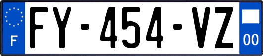 FY-454-VZ