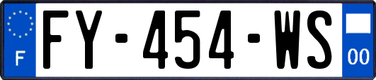 FY-454-WS