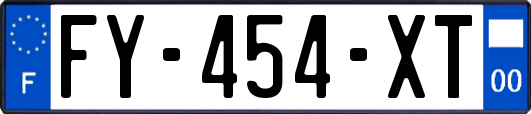 FY-454-XT