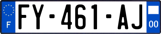 FY-461-AJ