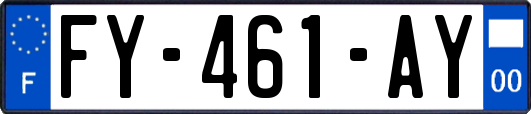 FY-461-AY