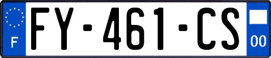 FY-461-CS