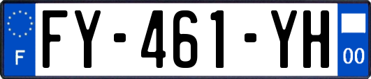 FY-461-YH