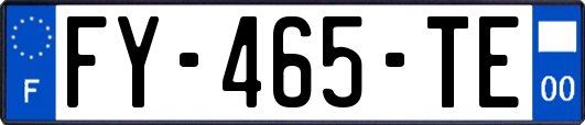 FY-465-TE