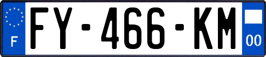 FY-466-KM