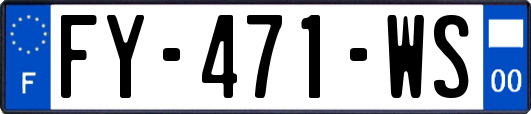 FY-471-WS