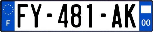 FY-481-AK