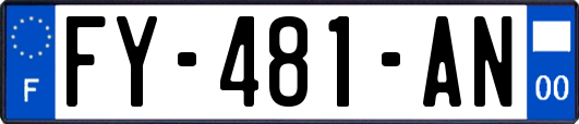 FY-481-AN