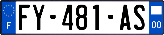 FY-481-AS