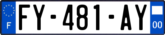 FY-481-AY