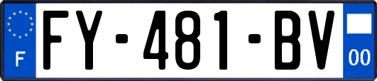 FY-481-BV