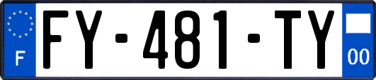 FY-481-TY