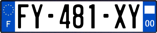 FY-481-XY