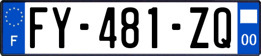 FY-481-ZQ